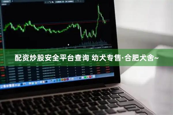 配资炒股安全平台查询 幼犬专售·合肥犬舍~