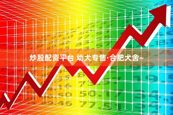 炒股配资平台 幼犬专售·合肥犬舍~